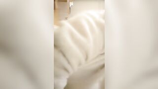 【壹屌探花】175车模小姐姐2800来一炮，黑丝美乳大长腿诱惑，69掰穴正对镜头完美展示