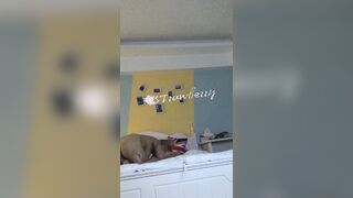 国产大神strawberry的性爱日记 约炮长相酷似像蔡依林的大胸援交妹第二炮