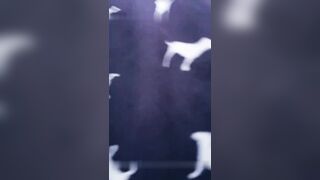 极品小萝莉火爆全网〖00年的小水娃〗假屌速插多毛浪穴玩到淫液狂喷求操 炮友后入怼操内射