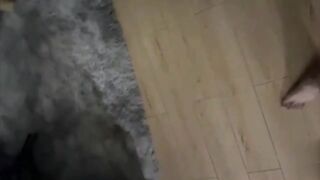 【麻花免费视频】舞蹈女神喝醉被渣男带回家随意玩弄