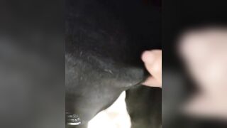 【麻花免费视频】【疯狂少妇“妖媚婷儿”户外勾引合集】各种勾引，老头孩子都不放过，玩法丰富毁三观