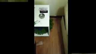 放暑假无聊第一次去足浴店玩没啥经验手头有点紧只能找了个年纪稍大点的会玩的阿姨